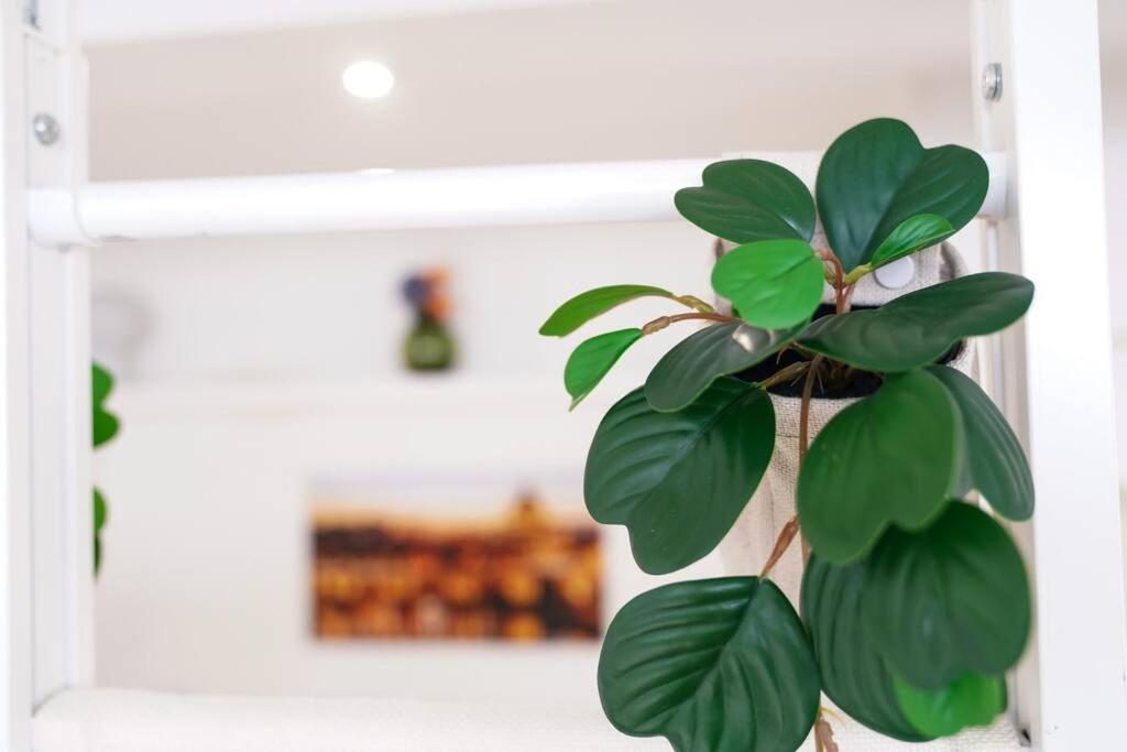 Babuino Terrace Apartment Rome Exterior photo